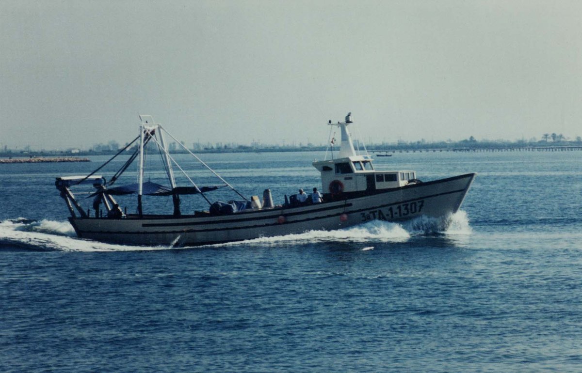 Imagen de Capitol 5 - 1988